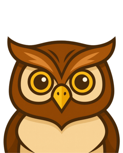 a cute owl looks at you